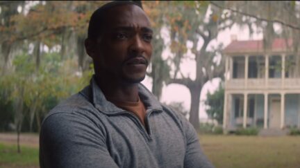 Sam Wilson in the falcon and the winter soldier