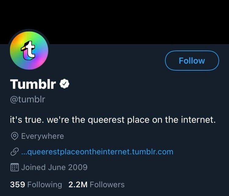 Tumblr's new Twitter bio claiming they are the queerest place on the Internet