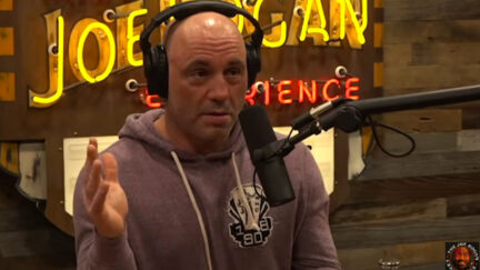 Joe Rogan records his podcast.