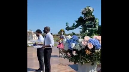 Image from viral TikTok video shows performers dressed as plants at a wedding