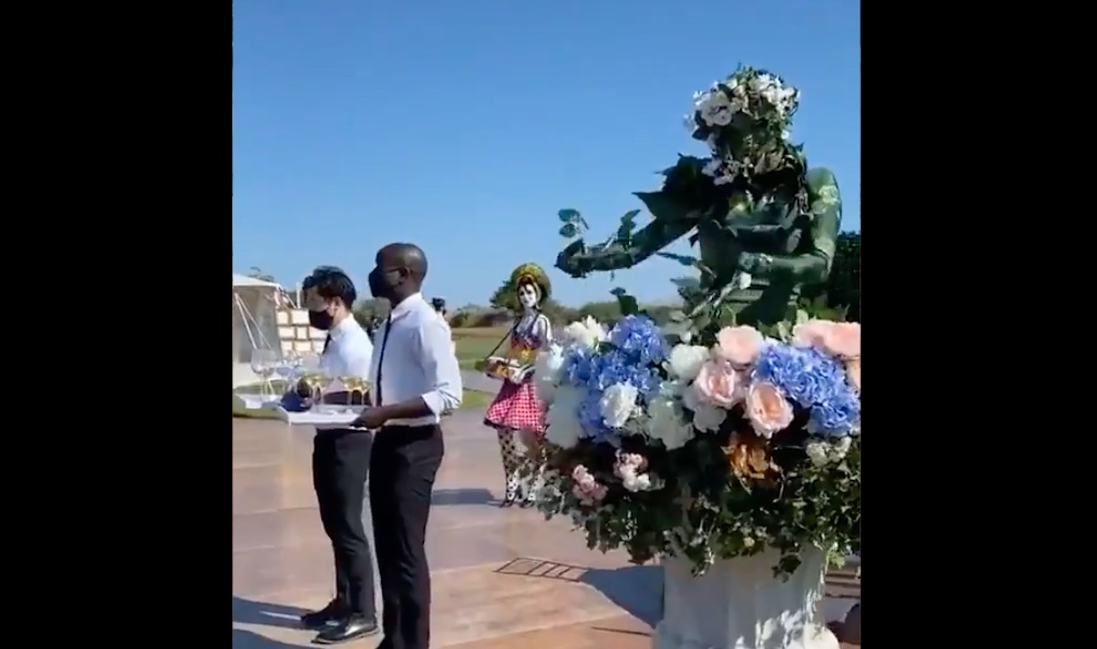 Image from viral TikTok video shows performers dressed as plants at a wedding