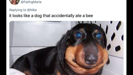 A tweet calls out Nike ugly Nike sneakers with a funny picture of a dog