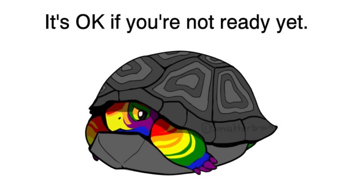 Hue the Pride Turtle