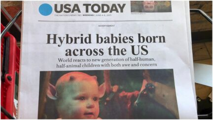 usa today