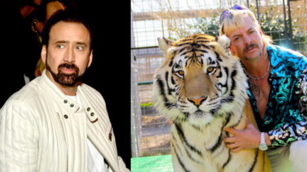 Nic Cage Tiger King