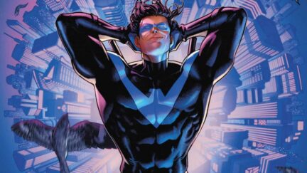 nightwing is sexy and he knows it