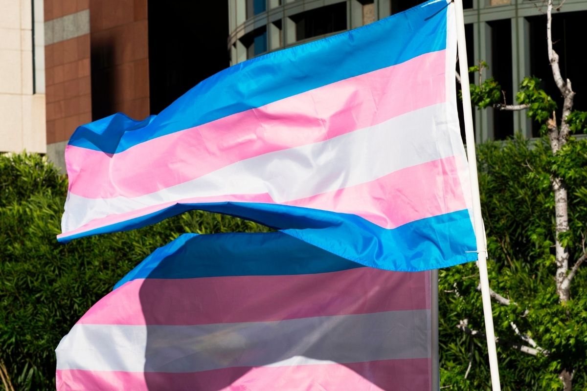 Transgender flags fluttering in the wind at International Transgender Day of Visibility.