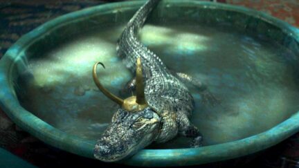 Alligator Loki in Marvel Studios' LOKI, exclusively on Disney+. Photo courtesy of Marvel Studios. ©Marvel Studios 2021. All Rights Reserved.