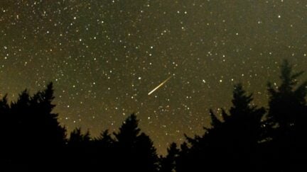 In this 30 second exposure, a meteor streaks across the sky during the annual Perseid meteor shower Friday, Aug. 12, 2016 in Spruce Knob, West Virginia. Photo Credit: (NASA/Bill Ingalls)
