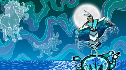 The Woman and the Woods and Other North American Stories