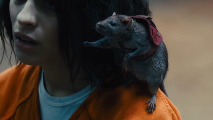 The Suicide Squad Sebastian