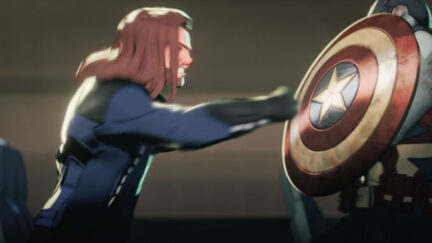 Bucky and Steve fighting