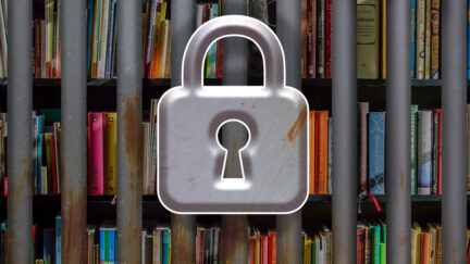 Locked cell in front of a bookshelf. (Image: Alyssa Shotwell.)