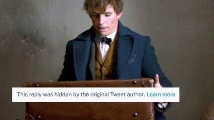 Eddie Redmayne as Newt Scamander in 'Fantastic Beasts and Where to Find Them' looks at a suitcase. A text box is superimposed about hidden replies on twitter.