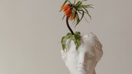 An orange flower grows from a planter shaped like a classical statue