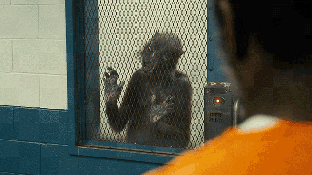 Weasel in the Suicide Squad