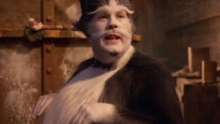 James Corden poses as a cat in the movie musical 'Cats'