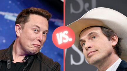 Elon Musk vs. Kimbal Musk. (image: Britta Pedersen-Pool/Getty Images and Michael Loccisano/Getty Images)
