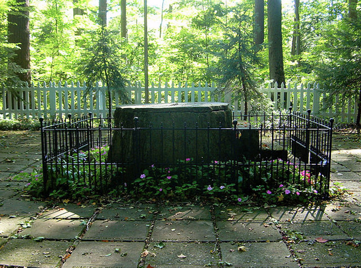 An image of Lily Dale's "inspiration" tree stump