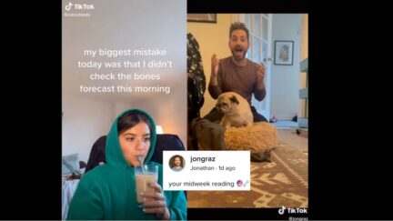 Jonathan Graz Tiktok