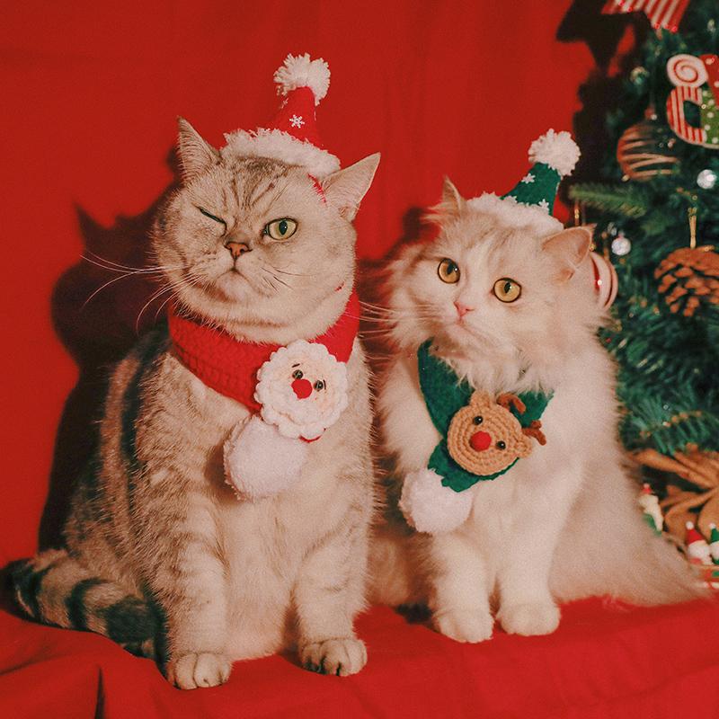 Happy & Polly Christmas Cats