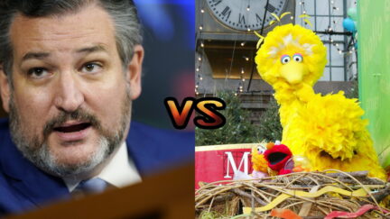 Ted Cruz and Big Bird