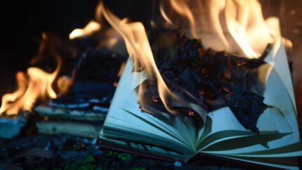 Book on fire. (Image: Movidagrafica on Pexels.) https://www.pexels.com/hu-hu/foto/1474931/