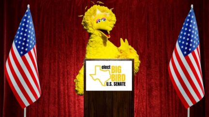 Big Bird at a podium in front of a campaign sign. (Image: Sesame Street and Big Bird For Senate Campaign.)
