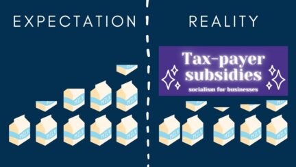 Expectation vs. reality regardnig inflation with milk — a product the US government gives tax subsidies to but doesn't call it socialism or a handout. (Image: Alyssa Shotwell.)