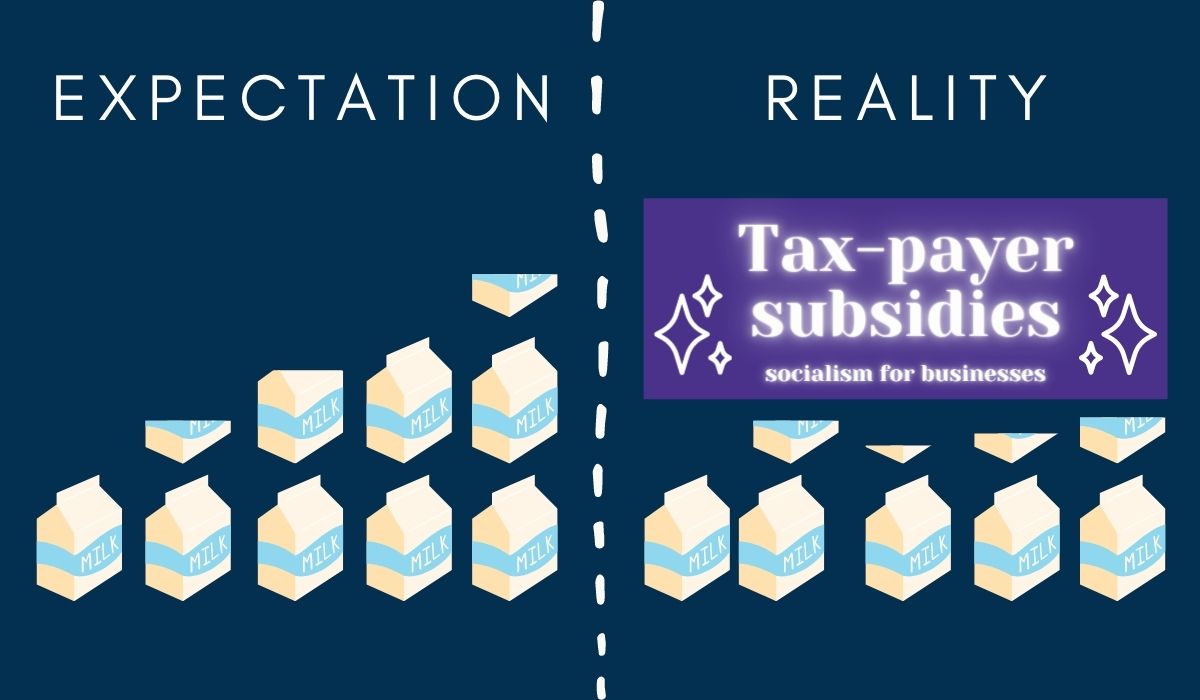 Expectation vs. reality regardnig inflation with milk — a product the US government gives tax subsidies to but doesn't call it socialism or a handout. (Image: Alyssa Shotwell.)