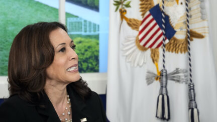 Kamala Harris sits in front of a window in the White House and appears to cringe.
