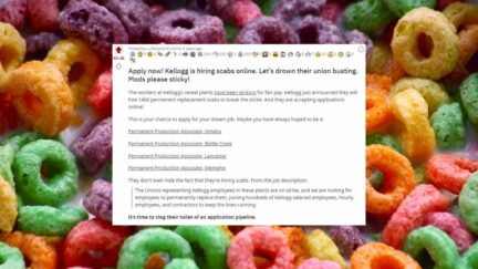 Screenshot of Redditor asking people to flood application sites over an image of cereal that looks like Kellogg's Fruit Loops. (Image: Zanastardust and Alyssa Shotwell.)