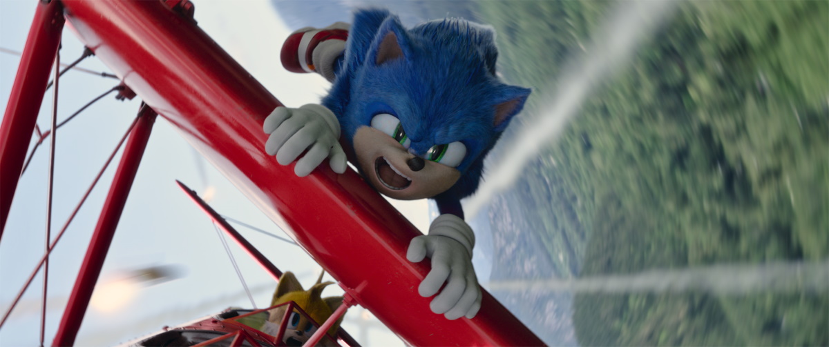 Sonic and Tails take flight
