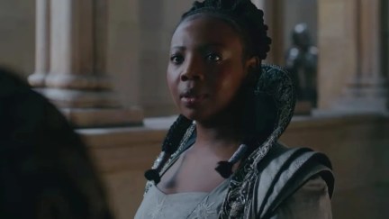 the-witcher-fringilla