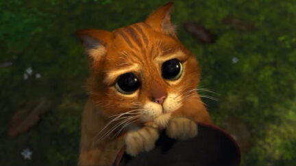 Puss in Boots cute doe eyes