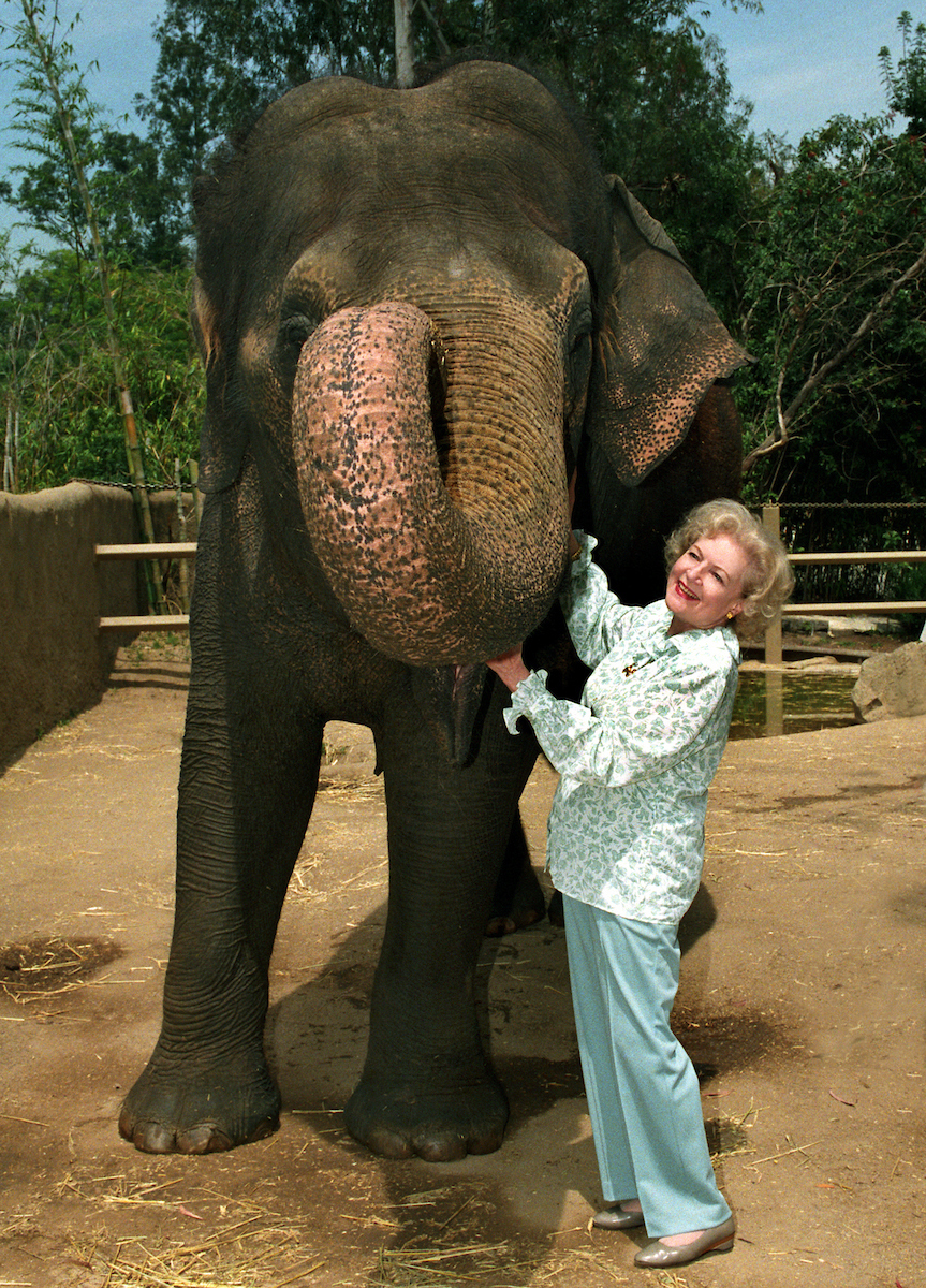 Betty White with Elephant Gita-Tad Motoyama. (Image: Greater Los Angeles Zoo Association.)