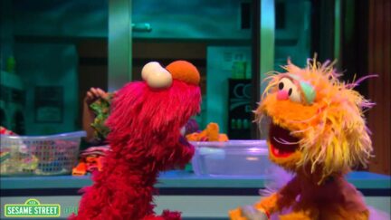 Elmo screaming at Zoe over Rocco