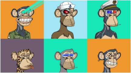 bored ape yacht club