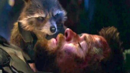 Rocket peering over Thor in Avengers: Infinity War.