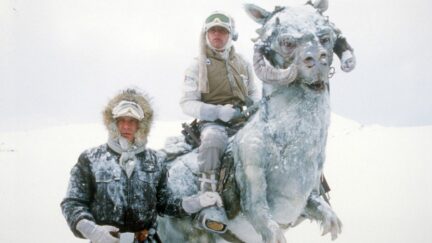 Harrison Ford, Mark Hamill, and a Tauntaun in 'Star Wars: Empire Strikes Back'