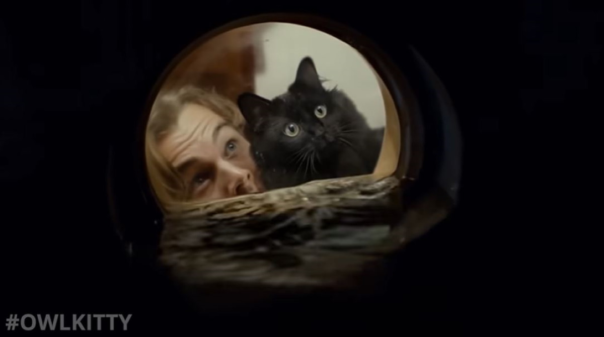 Video Reimagines Titanic With Jack and a Fluffy Cat