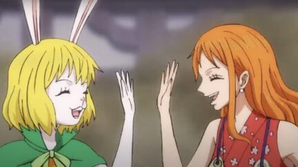 Female characters in 'One Piece'