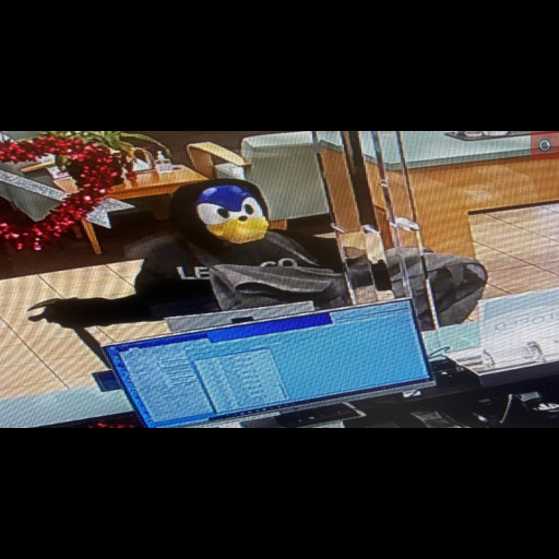 Sonic Masked Robber