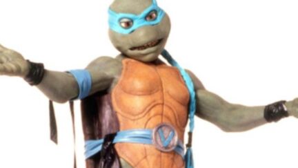 venus is back in the tmnt world