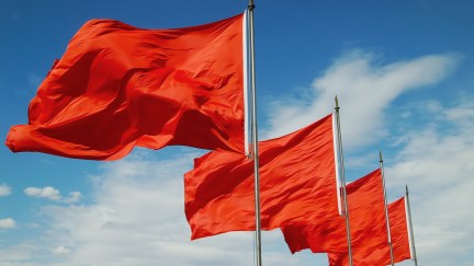 Red Flags in the wind