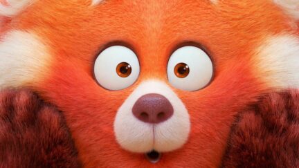 Mei discovering her panda form in Turning Red