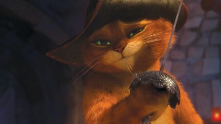 A picture of Puss in Boots, played by Antonio Banderas, in the trailer for the second instalment of his solo movie saga