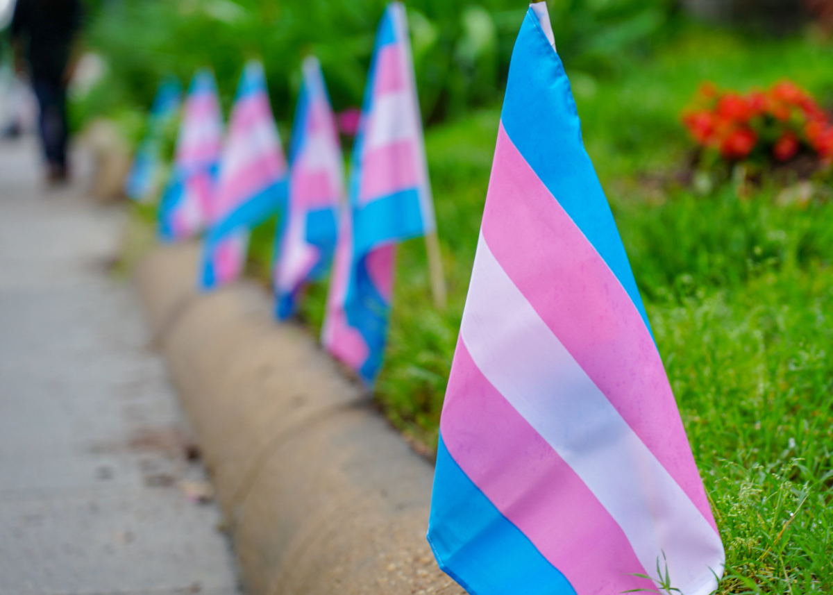 Transgender flags on the step to D.C.