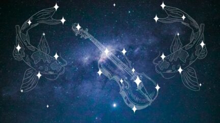 Galaxy showing a (made up) constellation of two koi fish flanking a violin or viola. Image: Nicole Avagliano from Pexels and Alyssa Shotwell (using Canva.) https://www.pexels.com/photo/milk-way-2706654/