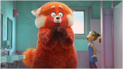 Mei-Mei the Red Panda in 'Turning Red'